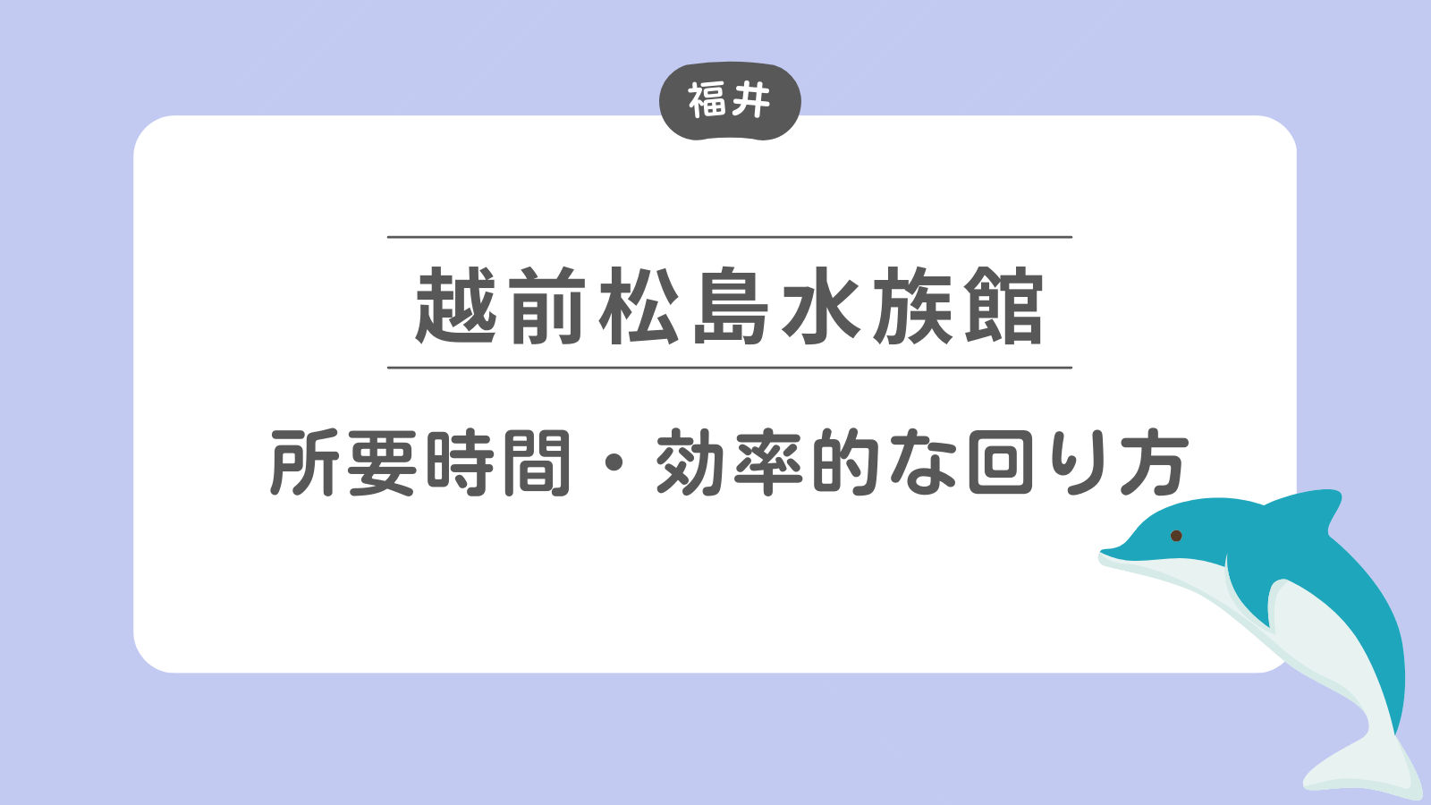 越前松島水族館　所要時間・効率的な回り方