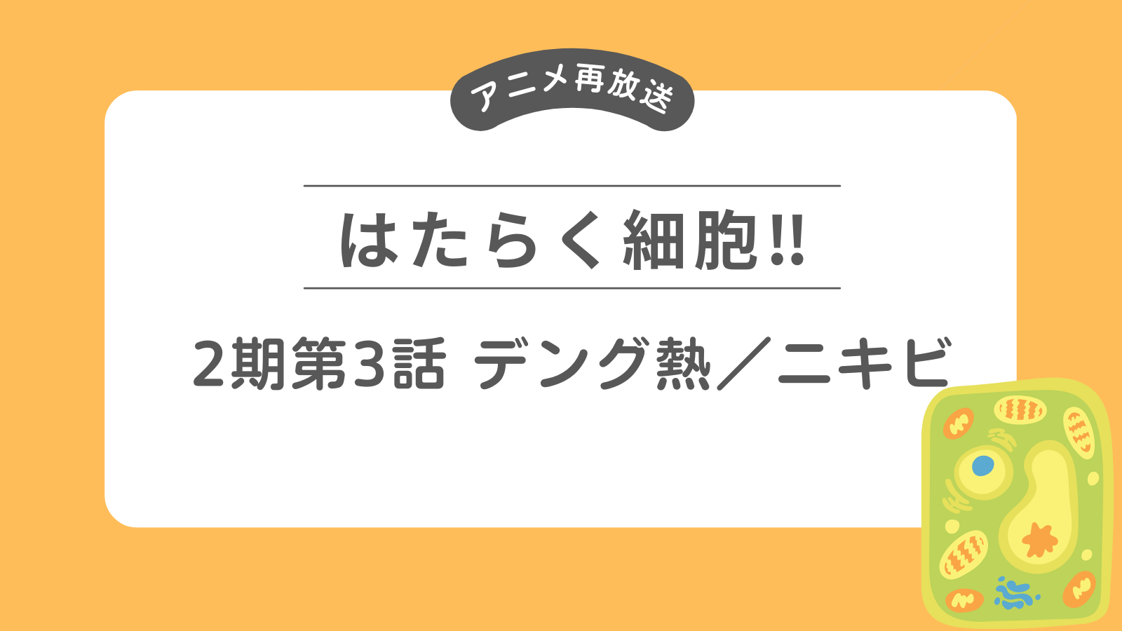 アニメ「はたらく細胞‼」再放送2期第3話デング熱／ニキビ