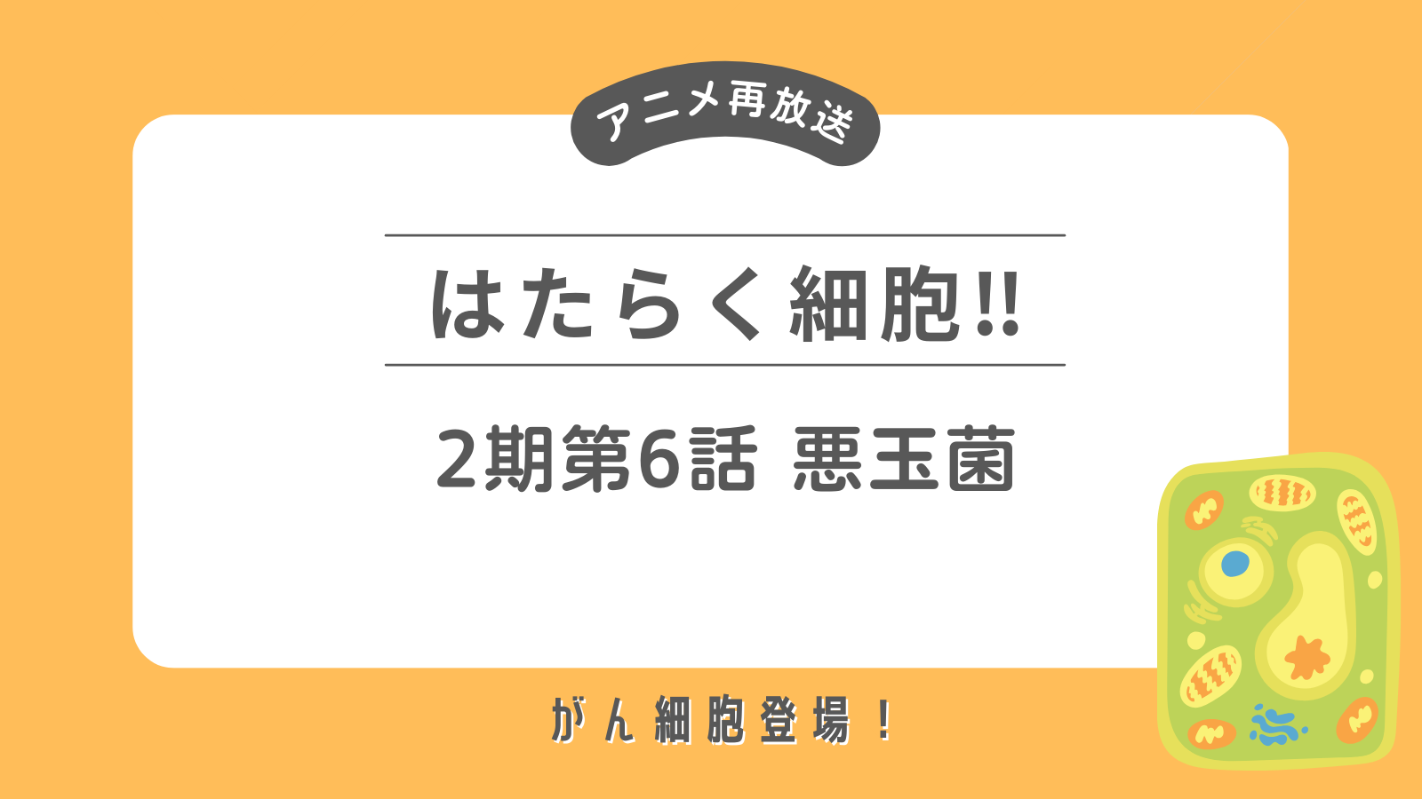 アニメ再放送「はたらく細胞‼」2期第6話「悪玉菌」