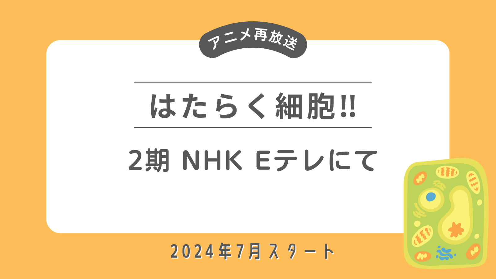 アニメ「はたらく細胞‼」2期　NHK Eテレにて再放送