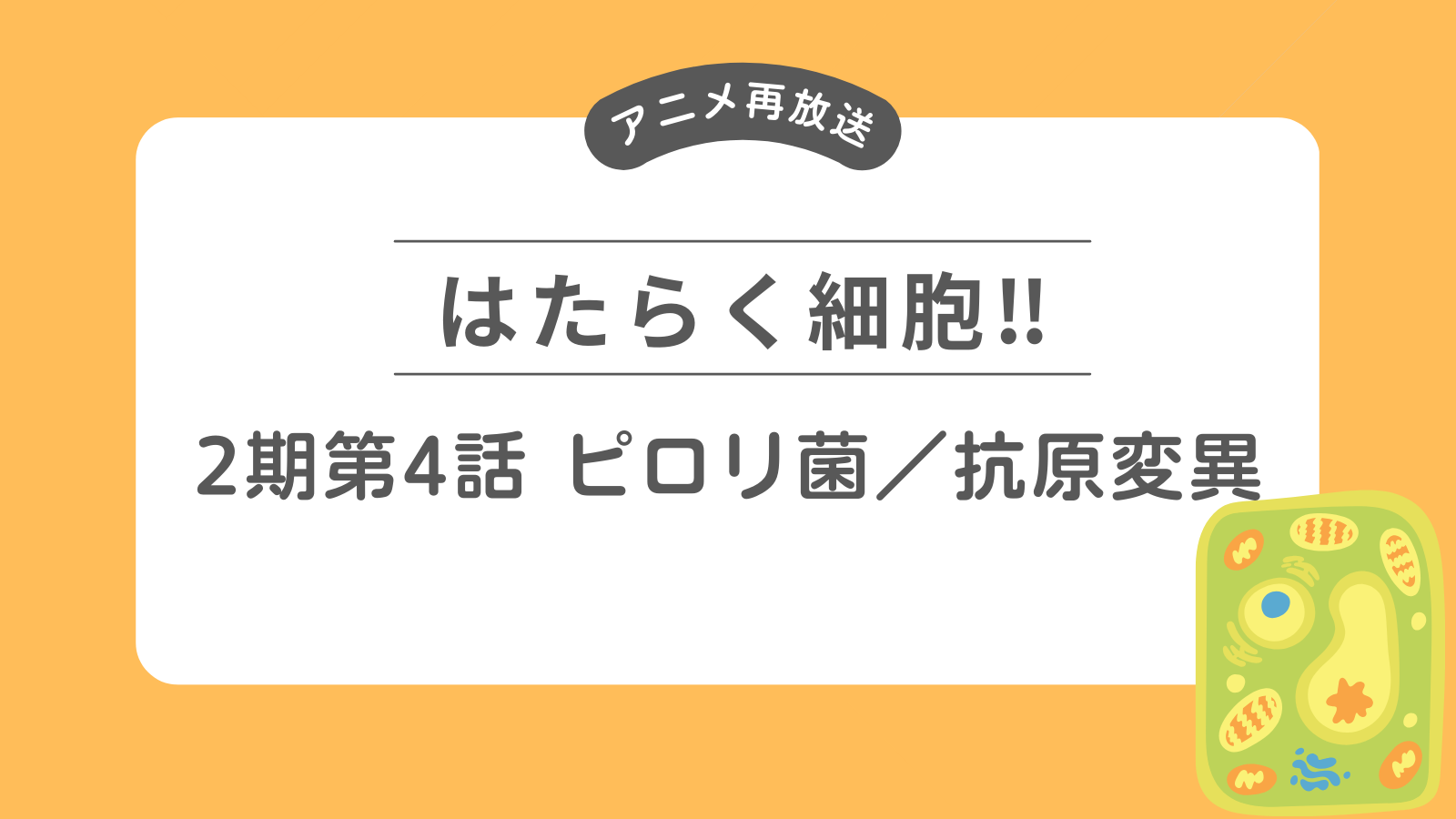 アニメ「はたらく細胞‼！」2期第4話 ピロリ菌／抗原変異