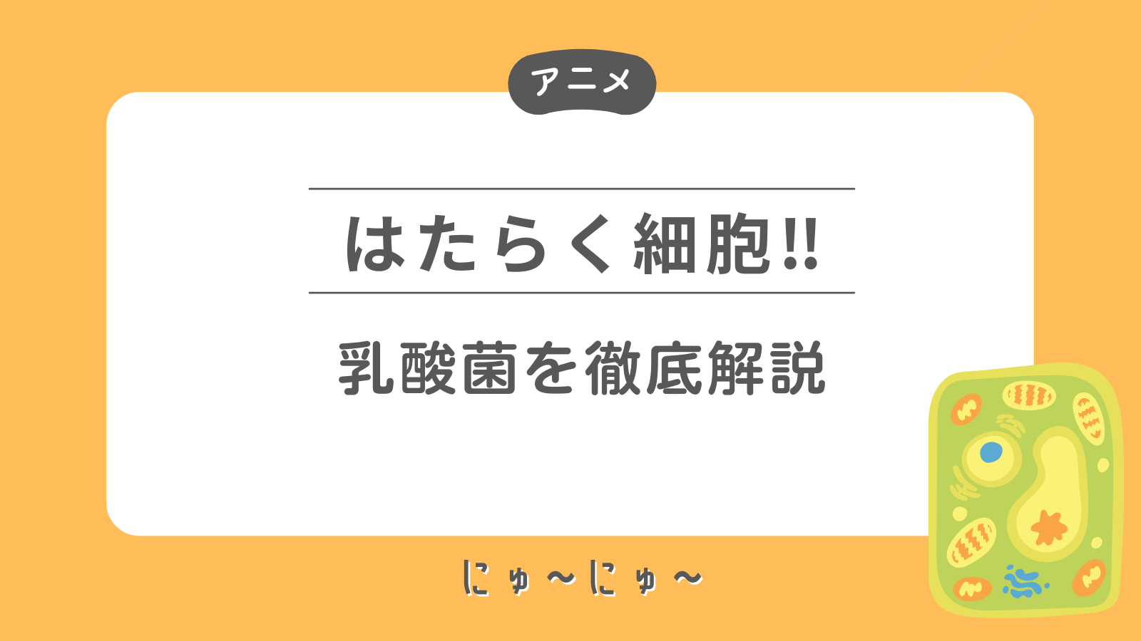 「はたらく細胞」かわいい乳酸菌を徹底解説！